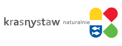 04 krasnystaw miasto